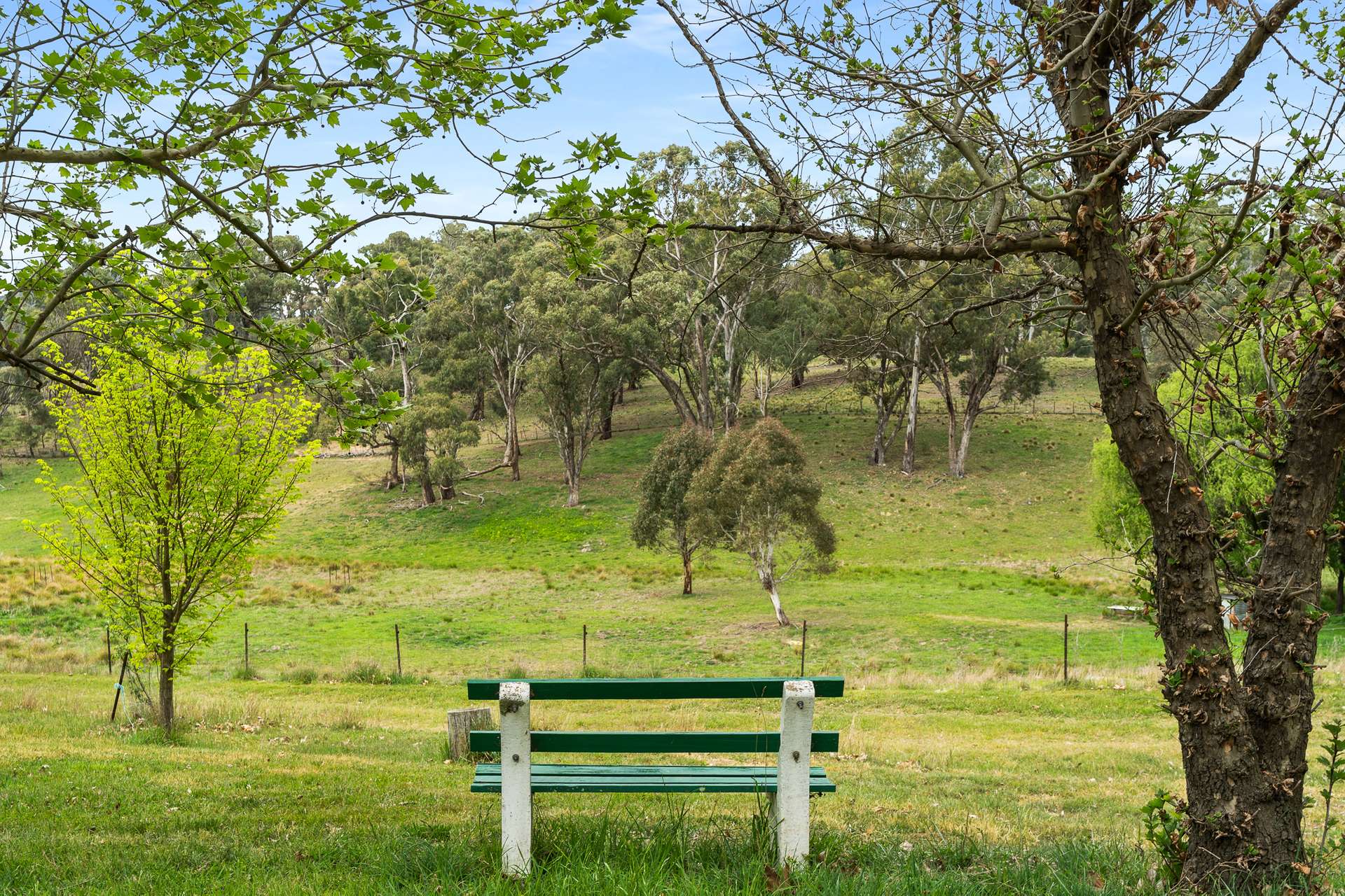 2716 Beaconsfield Road, Wisemans Creek Sold by Farmbuy.com - image 21