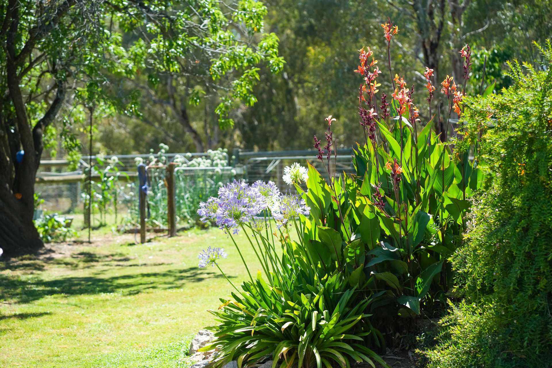 423 Wangaratta-Eldorado Road, North Wangaratta For Sale by Farmbuy.com - image 9