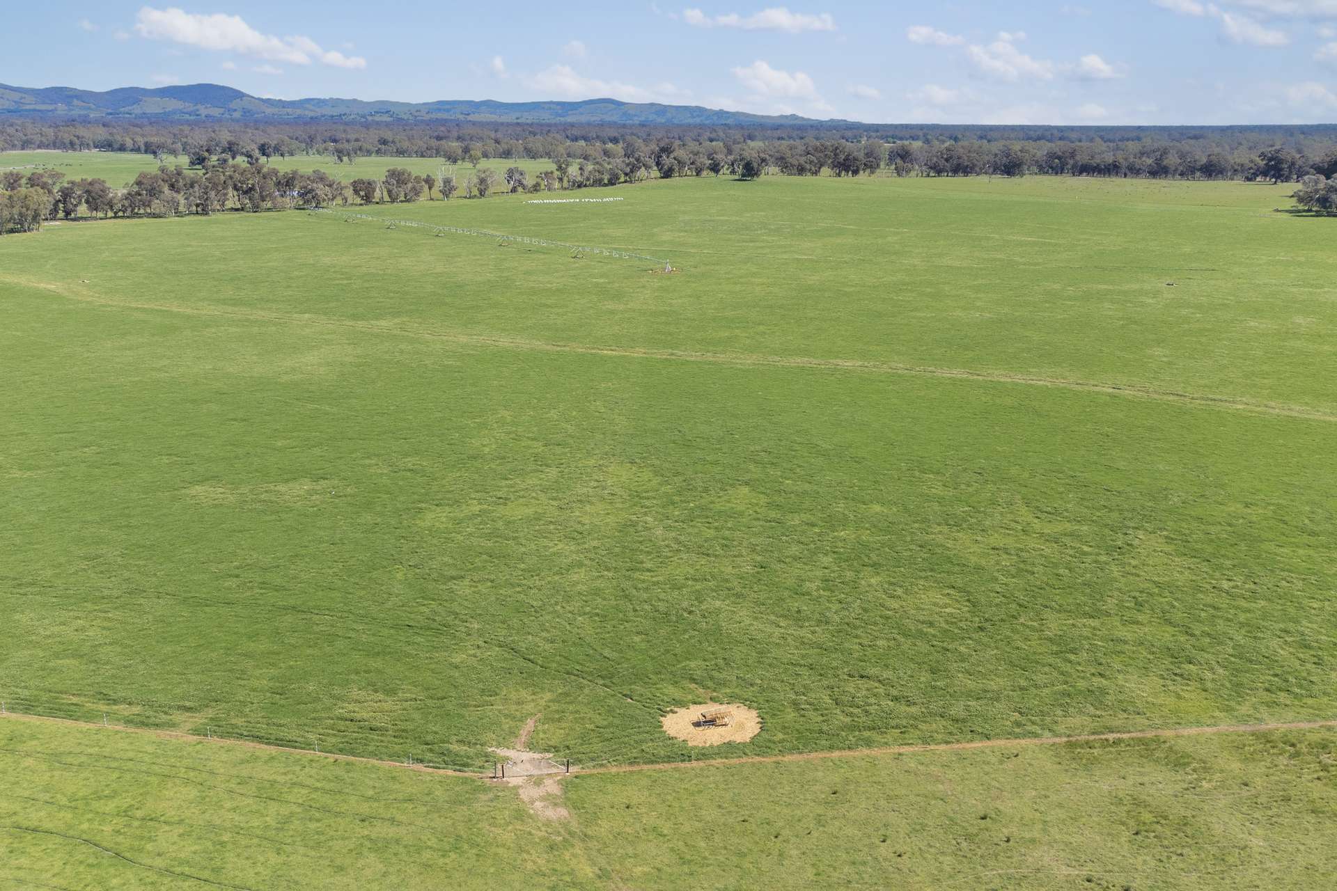 Crn Of Basin & Carroll Road, Tarnook For Sale by Farmbuy.com - image 9