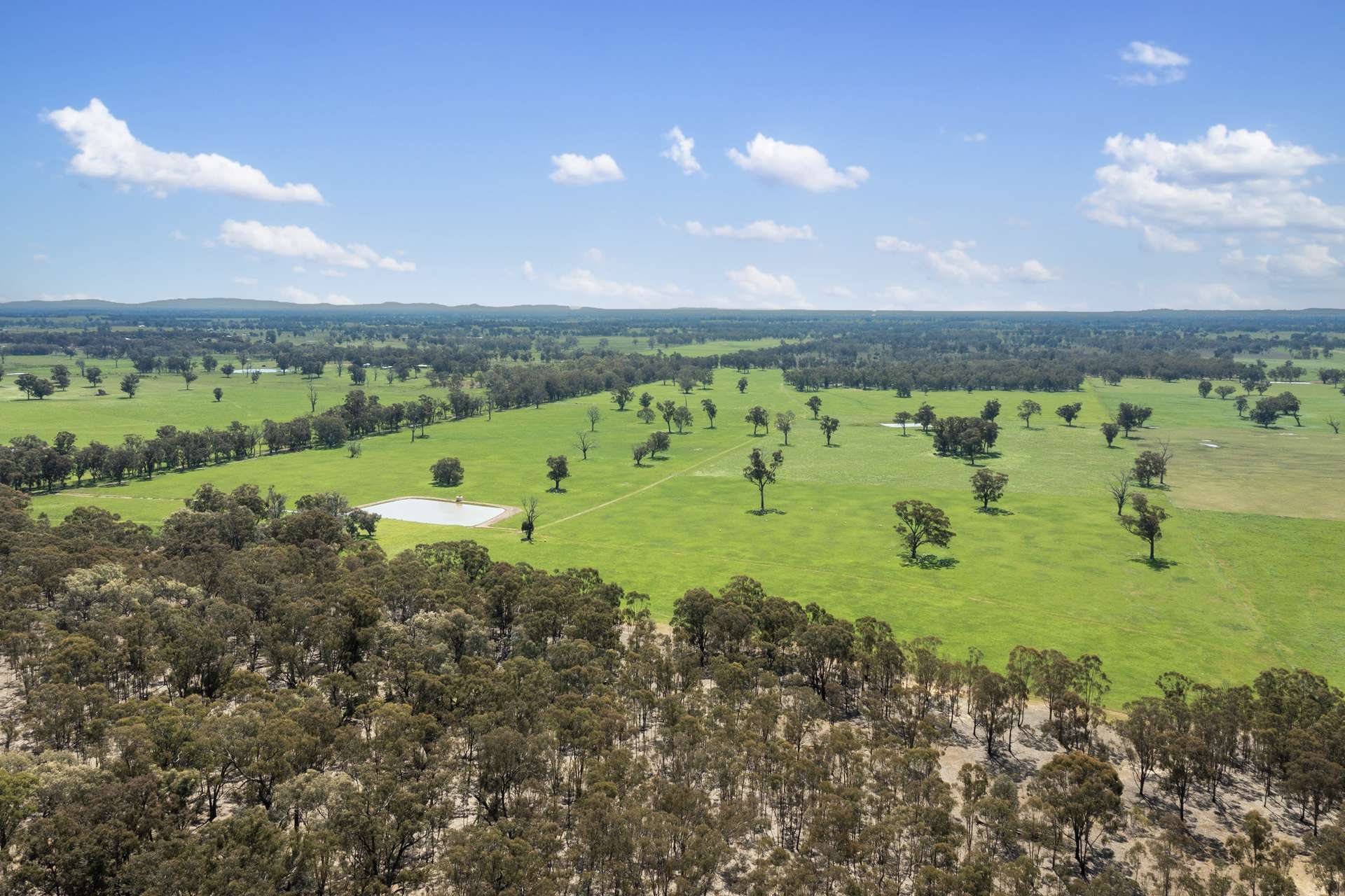 Crn Of Basin & Carroll Road, Tarnook For Sale by Farmbuy.com - image 6