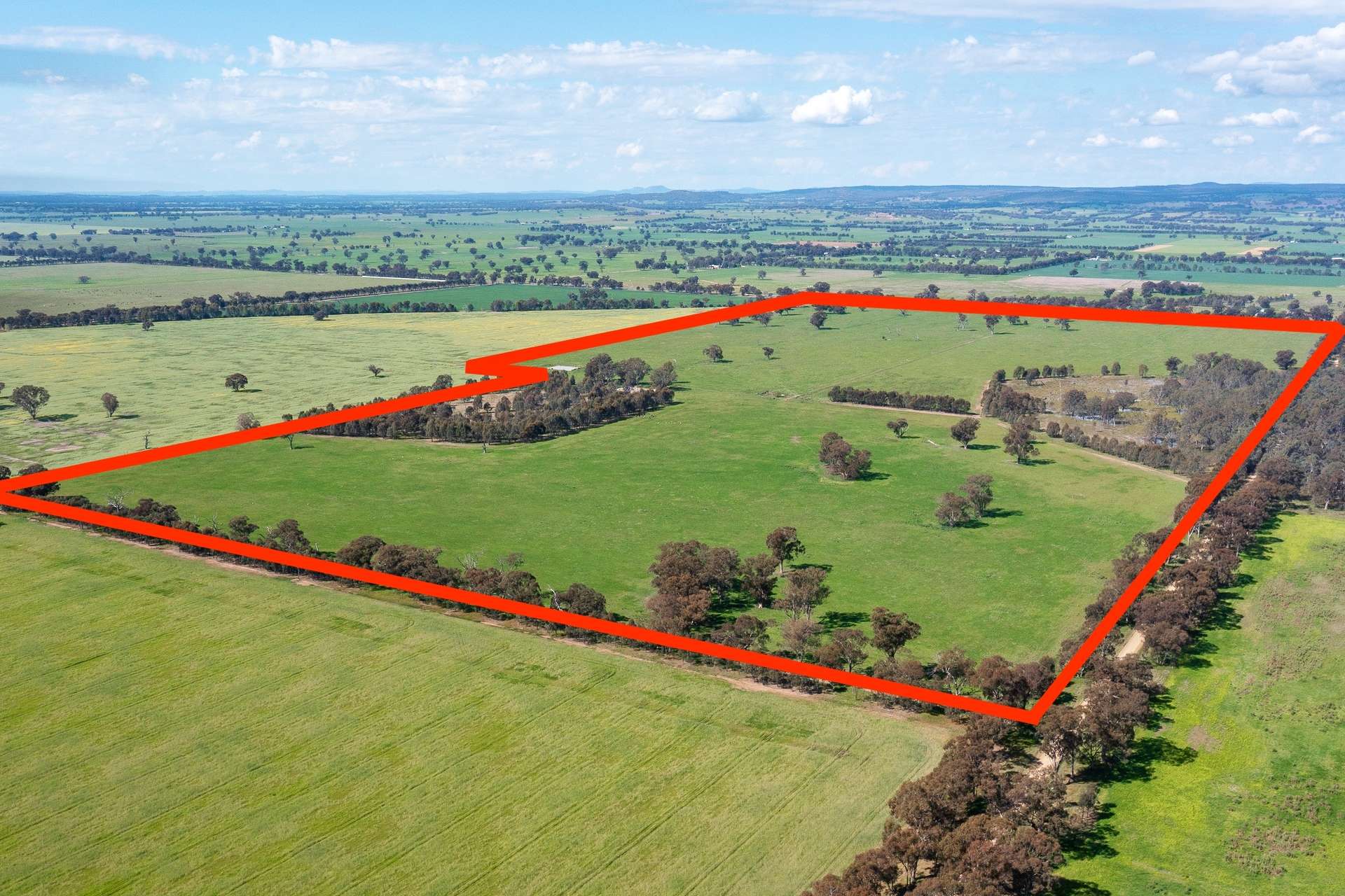 Lot 2,  Boland Road & Federation Way, Boorhaman Sold by Farmbuy.com - image 23