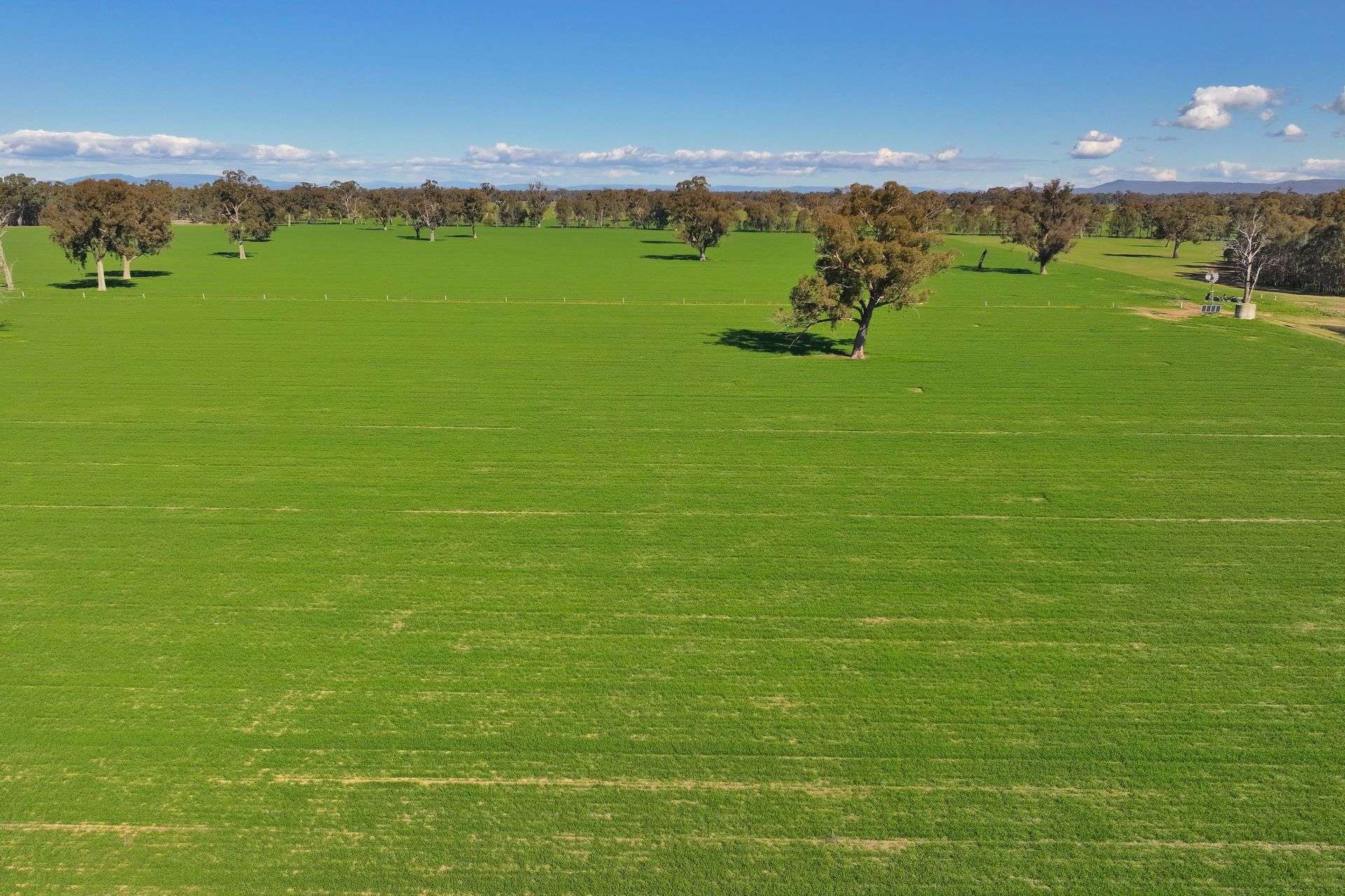 Lot 2,  Boland Road & Federation Way, Boorhaman Sold by Farmbuy.com - image 11