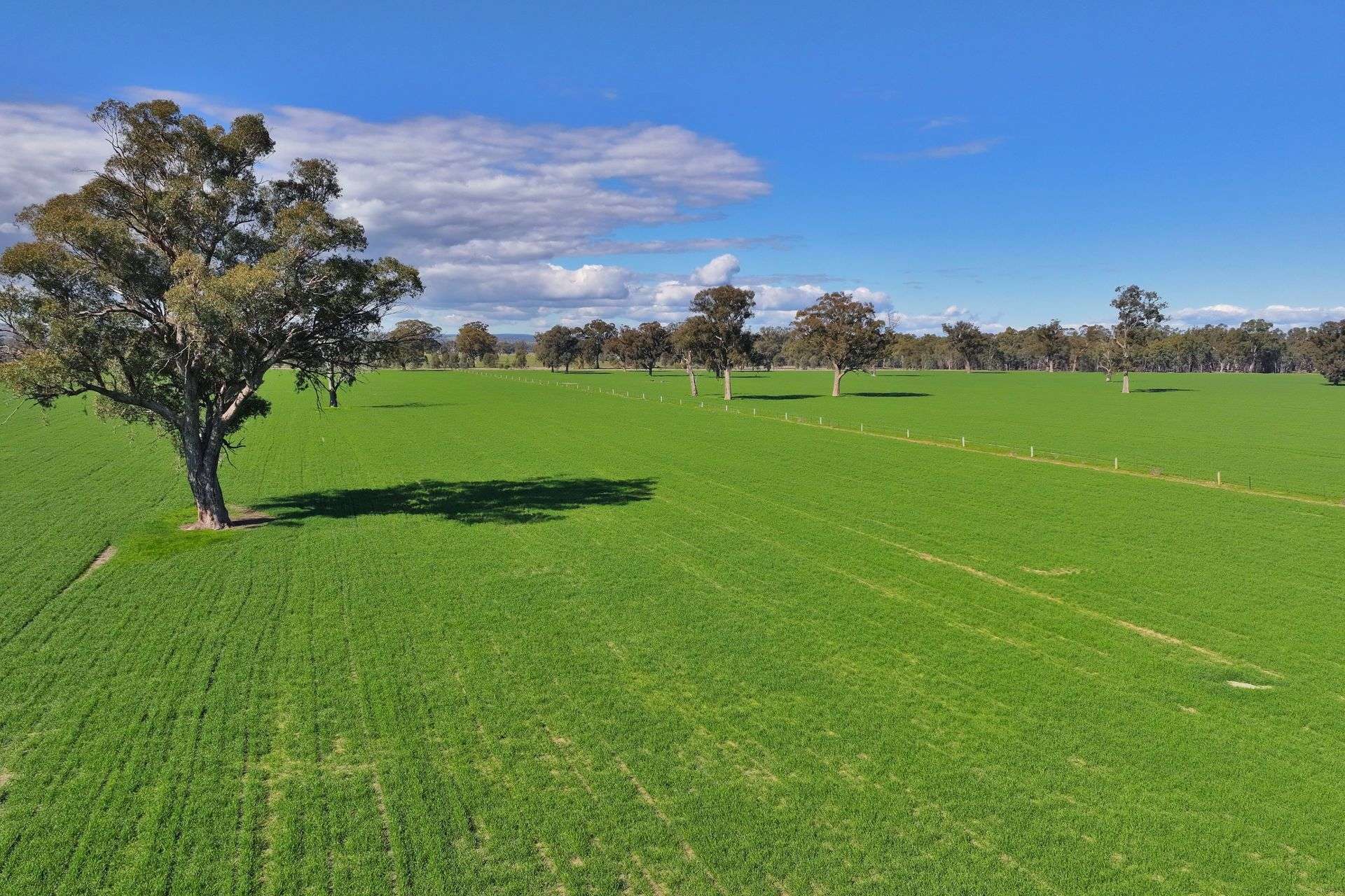 Lot 2,  Boland Road & Federation Way, Boorhaman Sold by Farmbuy.com - image 1