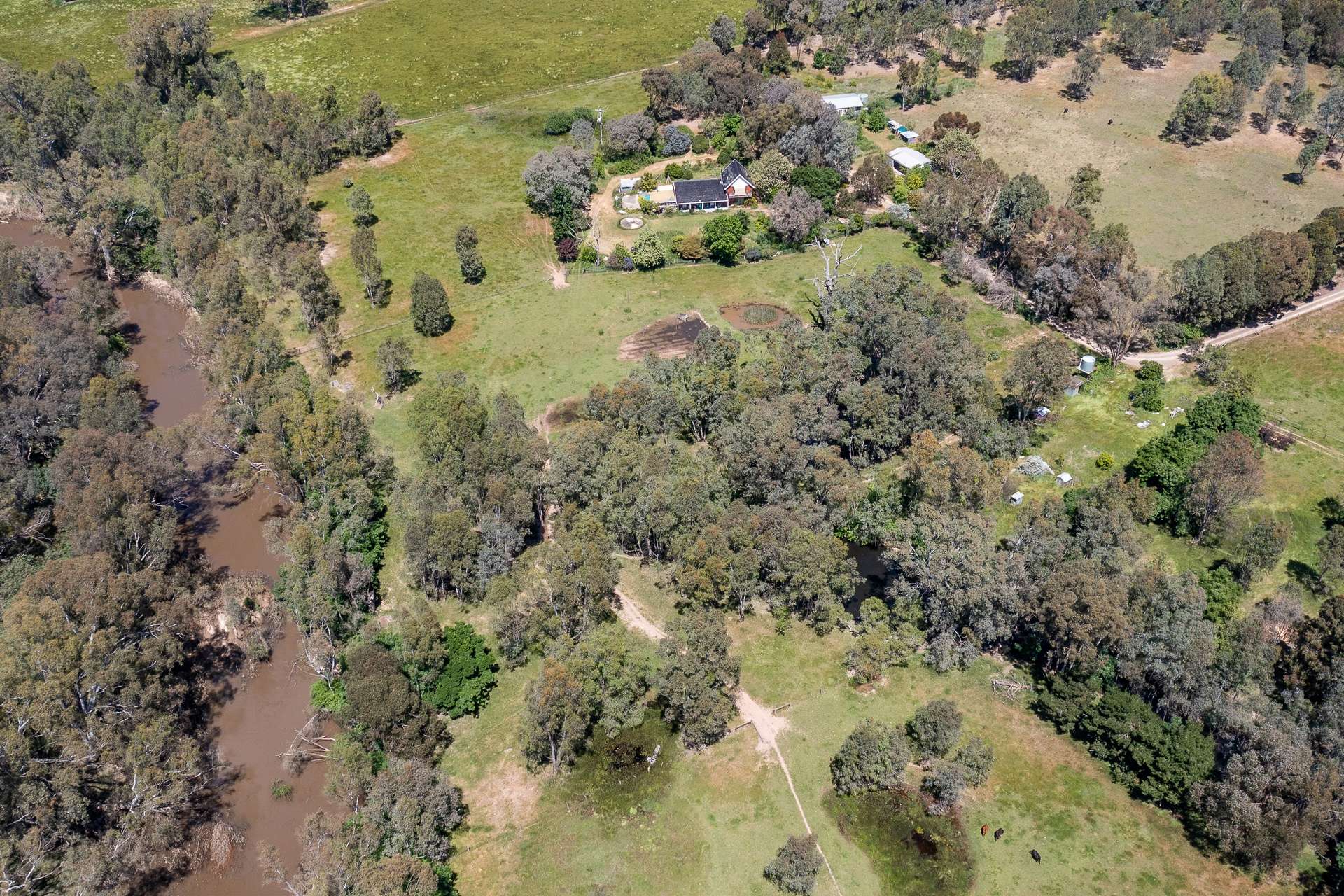 240 Kealy Road, Benalla For Sale by Farmbuy.com - image 14