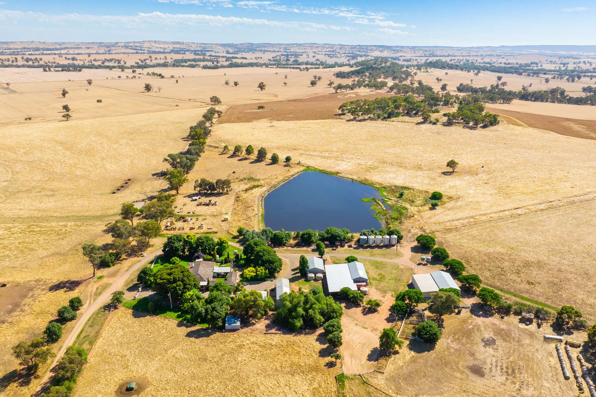 50 Cameron Lane, Bungeet West For Sale by Farmbuy.com - image 2