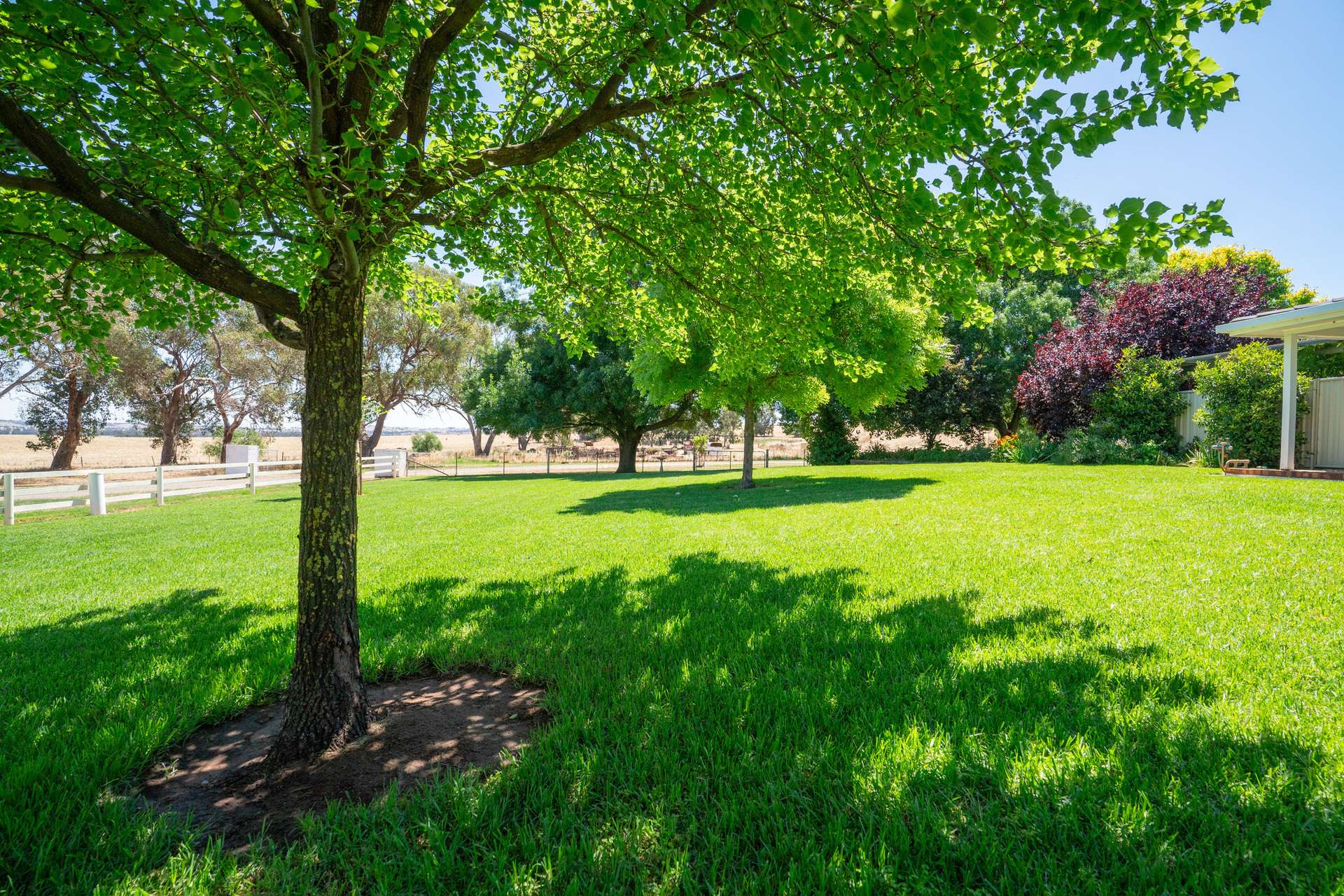 50 Cameron Lane, Bungeet West For Sale by Farmbuy.com - image 7