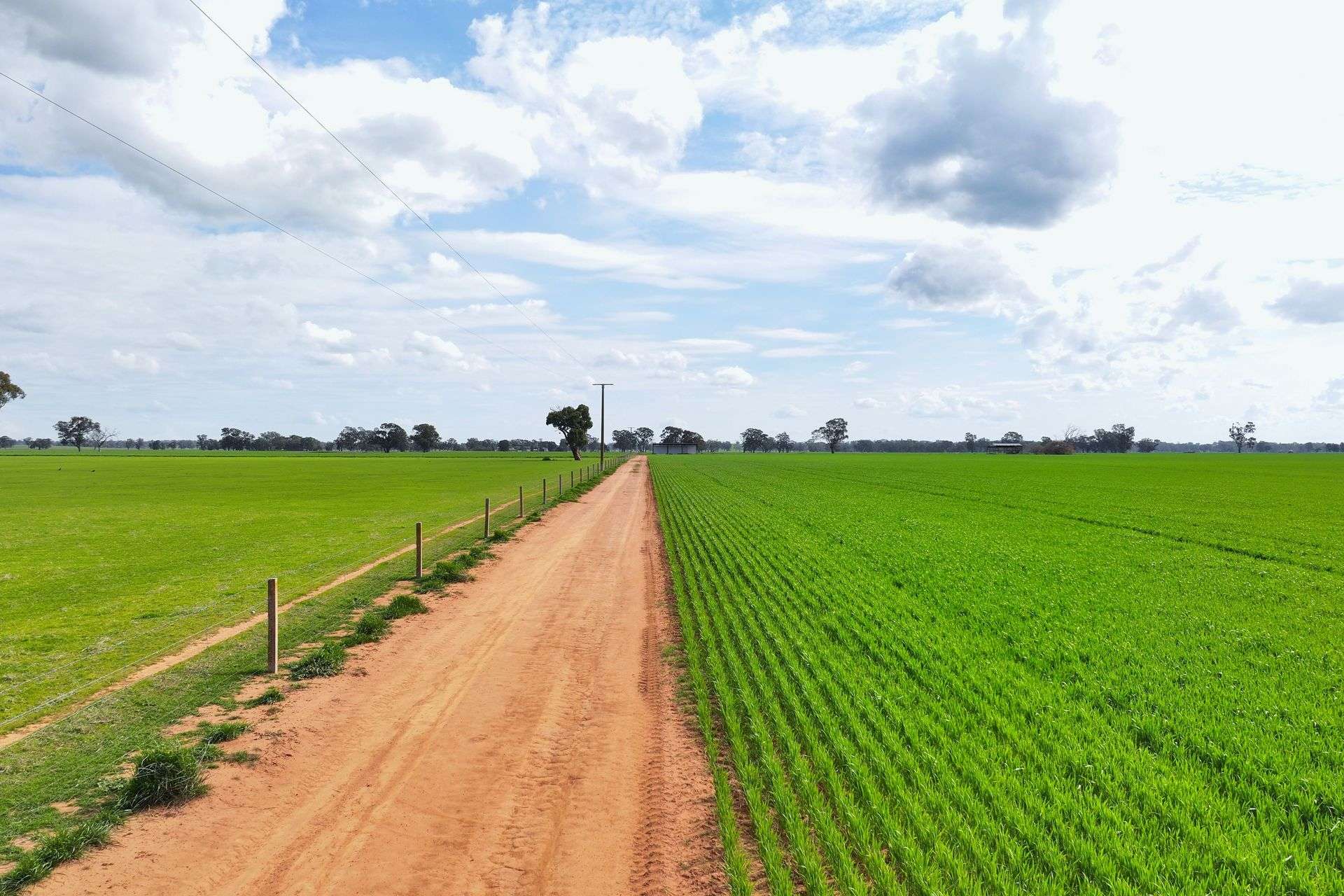 2855 Wangaratta-Yarrawonga Road, Bundalong South Sold by Farmbuy.com - image 5