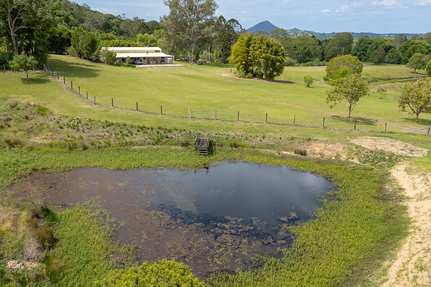 52 Musavale Road, Eerwah Vale For Sale by Farmbuy.com - image 3