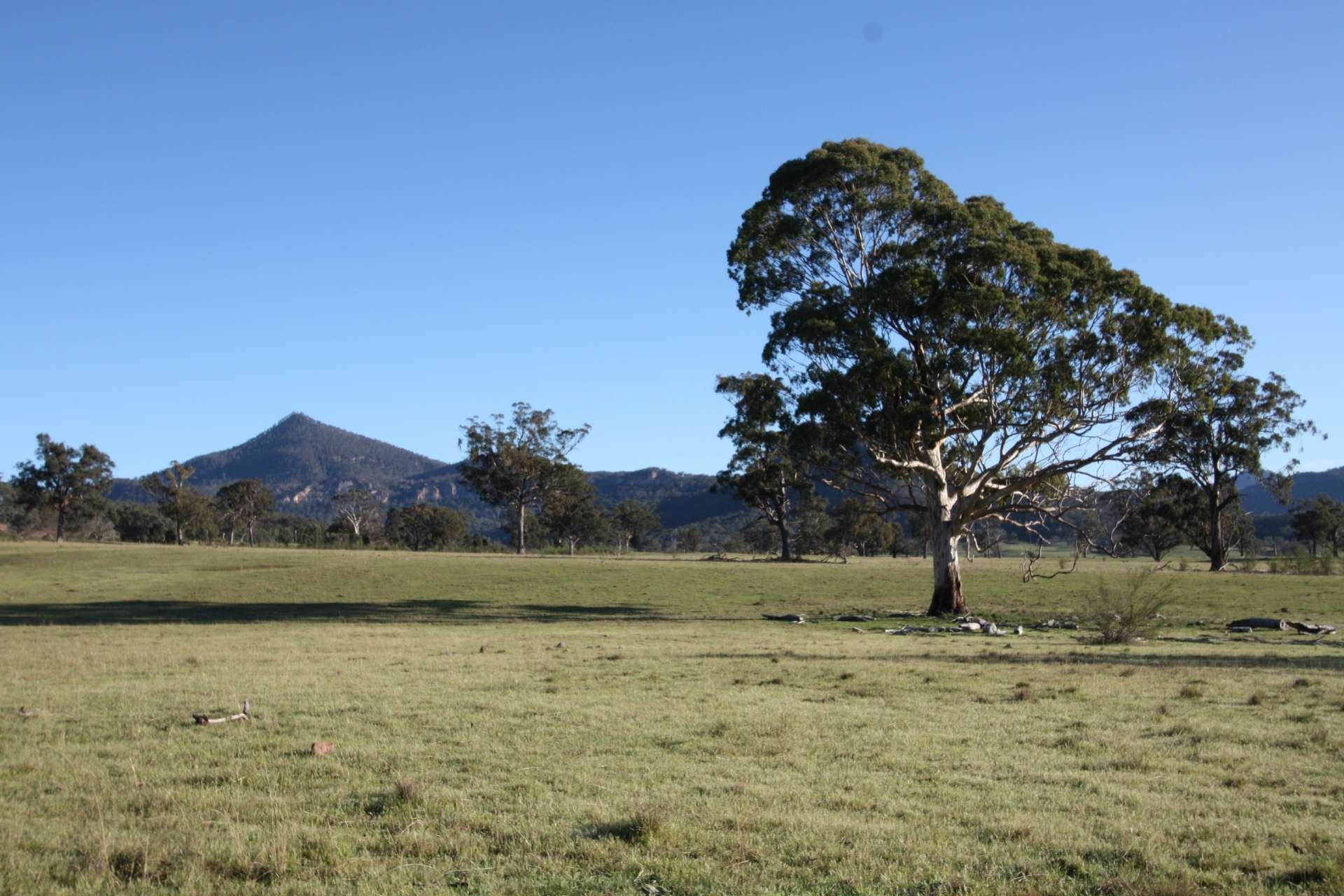429 Upper Nile Road, Rylstone For Sale by Farmbuy.com - image 20