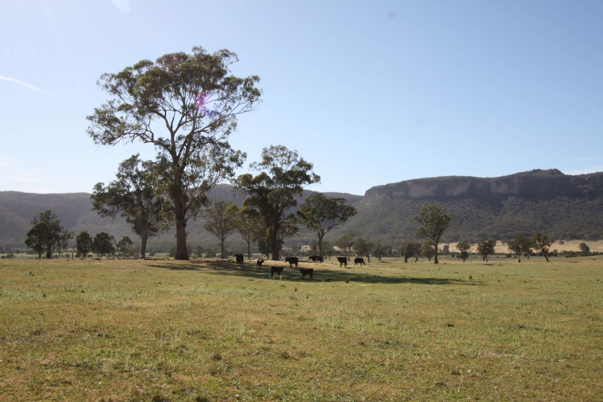429 Upper Nile Road, Rylstone For Sale by Farmbuy.com - image 2