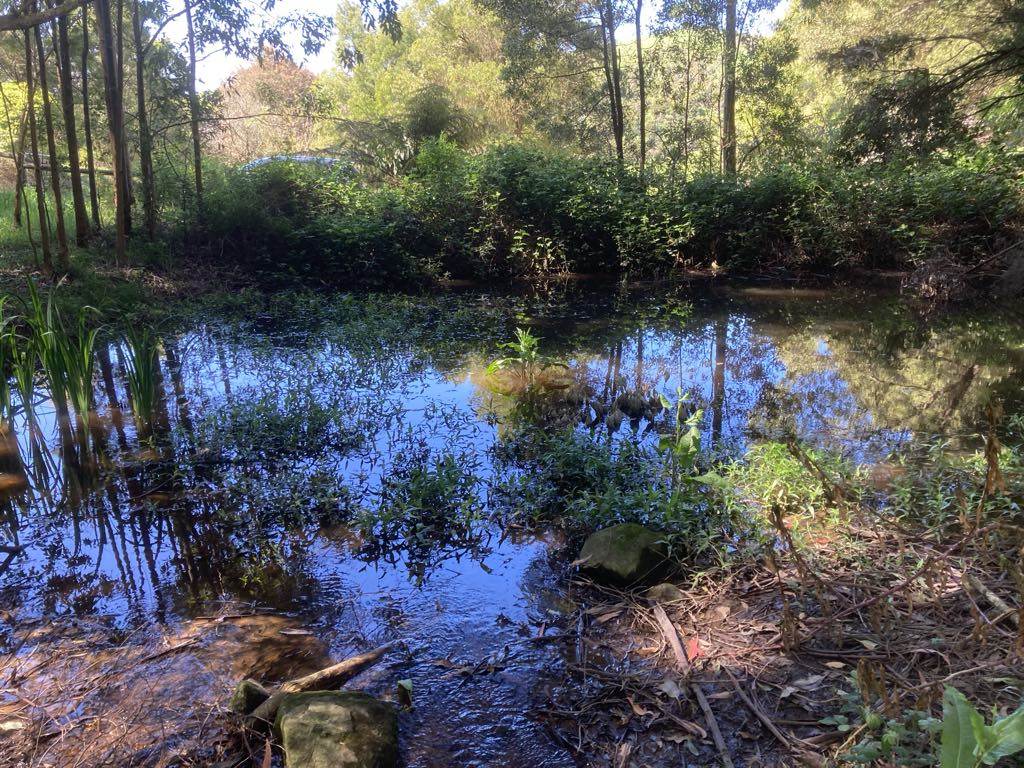 465 Woomera Creek Rd, Toora North For Sale by Farmbuy.com - image 2