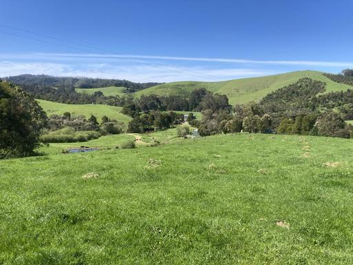 465 Woomera Creek Rd, Toora North VIC 3962