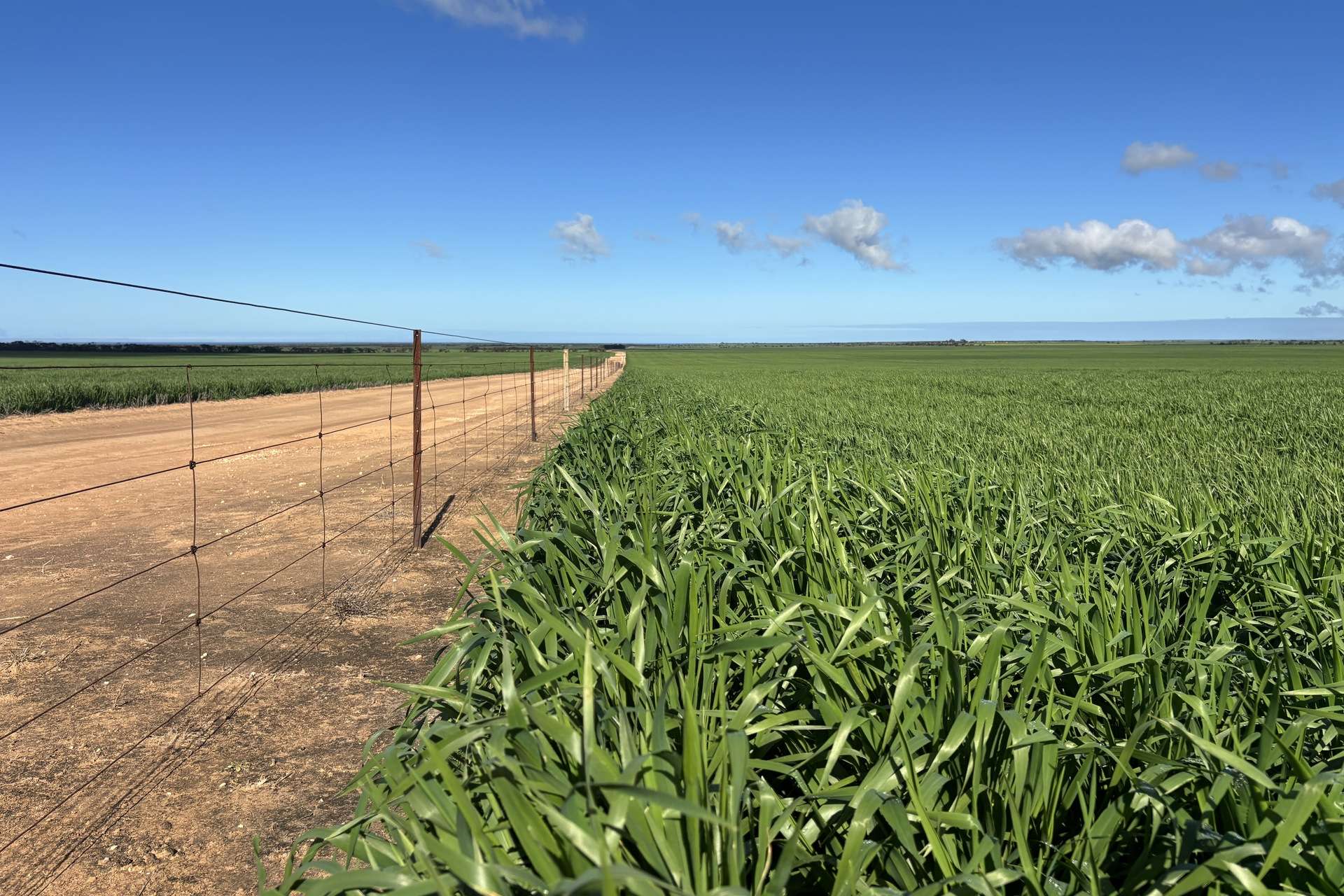 1167 Carpa Road, Cleve For Sale by Farmbuy.com - image 2