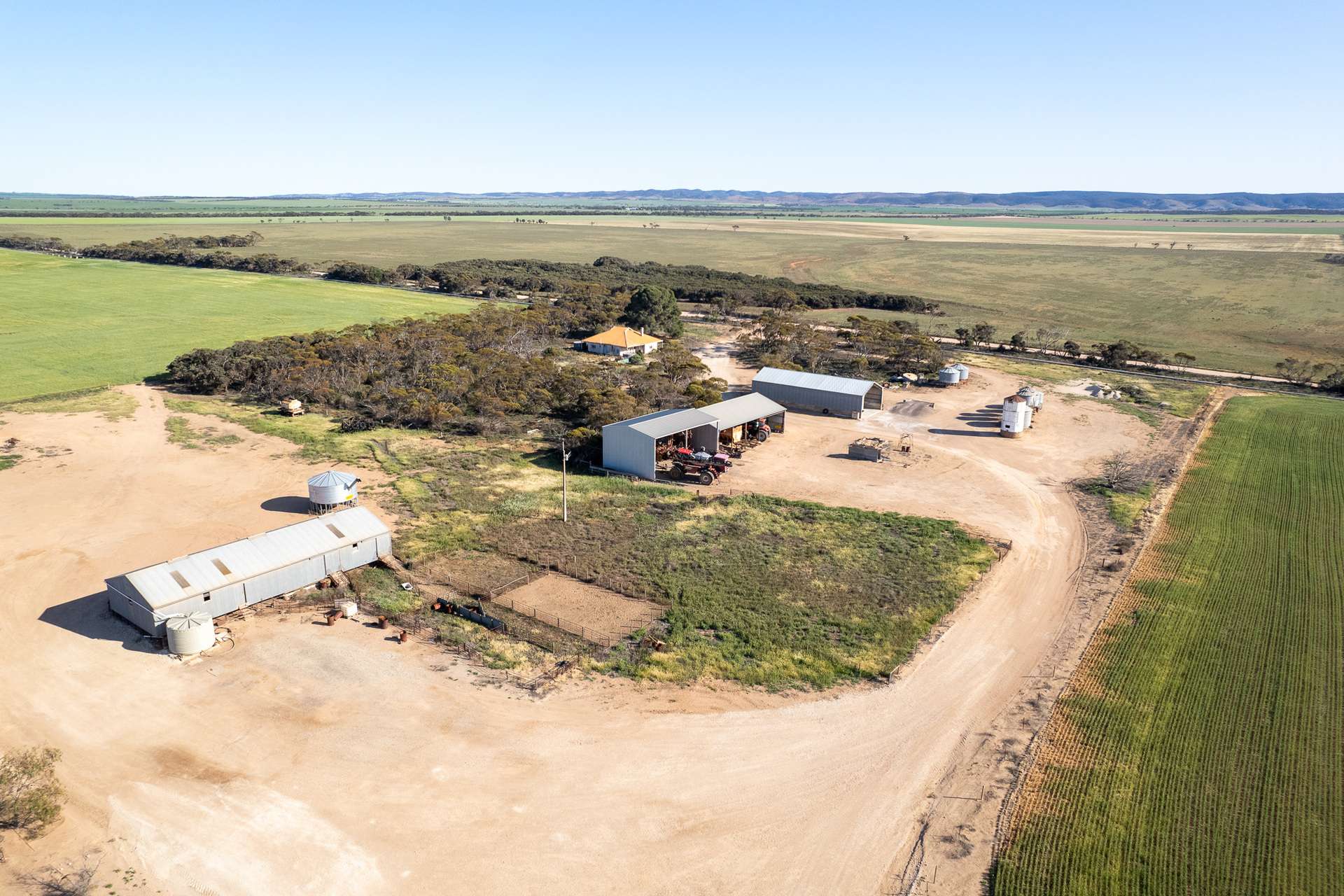 1167 Carpa Road, Cleve For Sale by Farmbuy.com - image 18