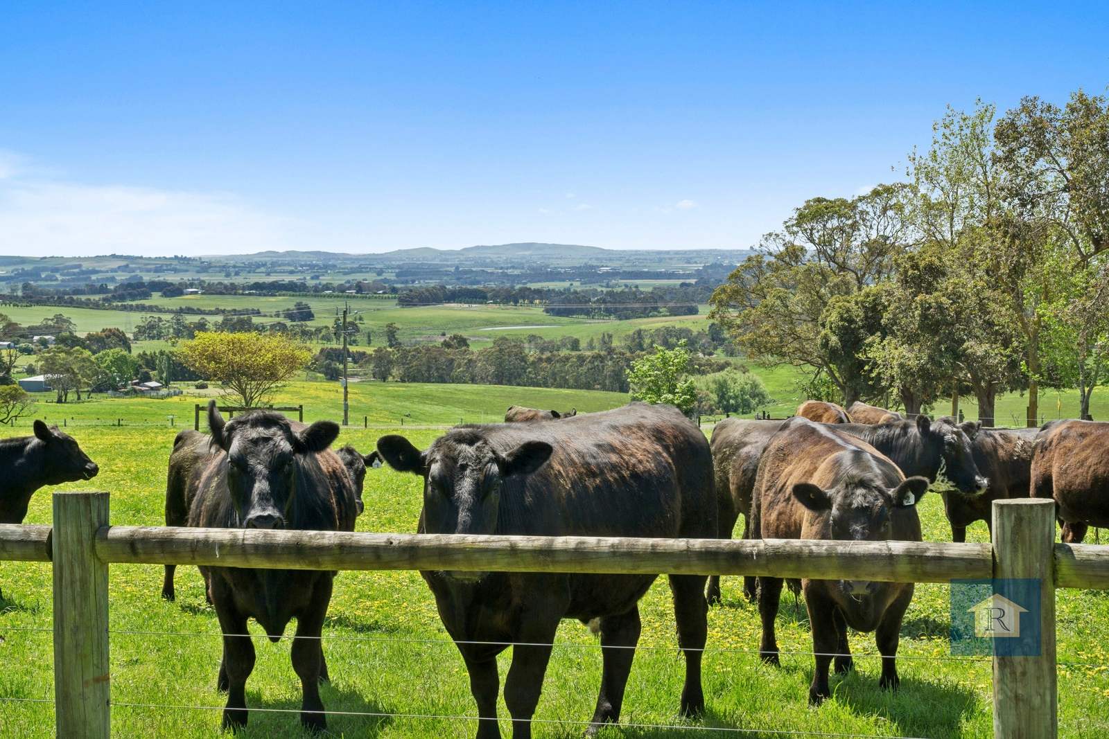 60 Forans Road, Barongarook West For Sale by Farmbuy.com - image 20