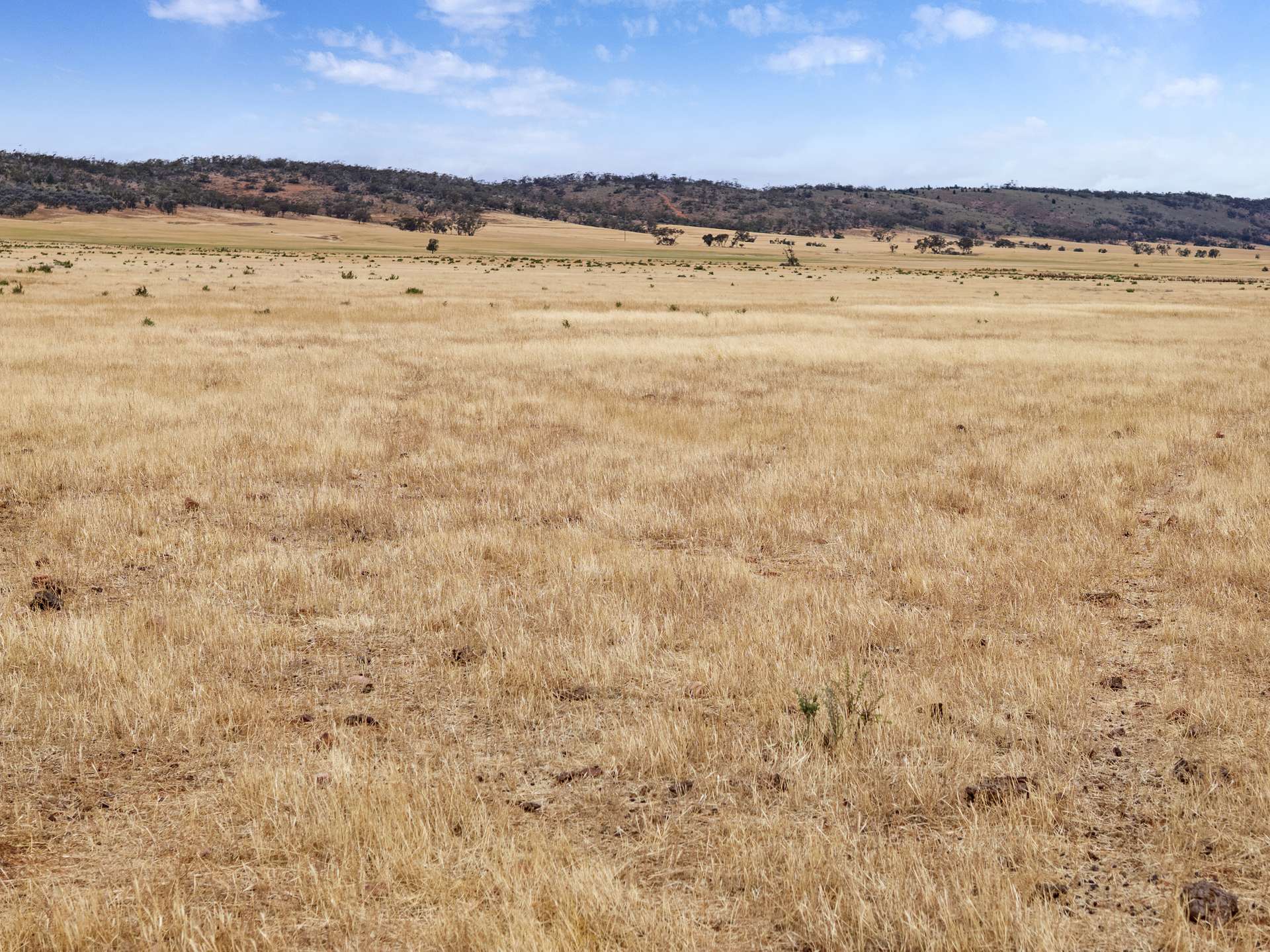 Lot 1/95 Finlay Road, Quorn Sold by Farmbuy.com - image 10