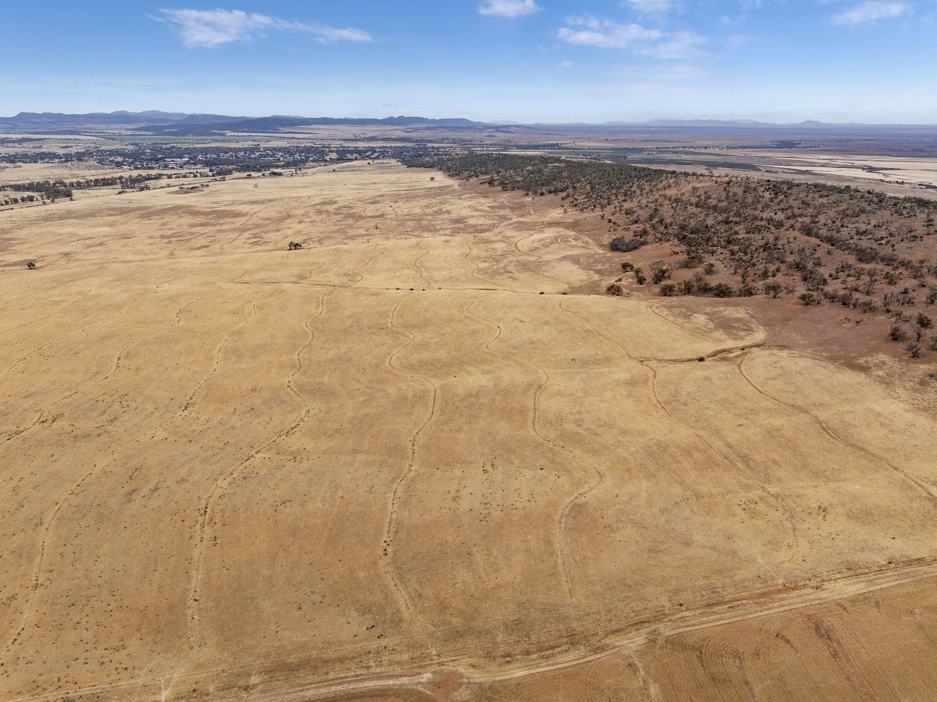 Lot 1/95 Finlay Road, Quorn Sold by Farmbuy.com - image 6