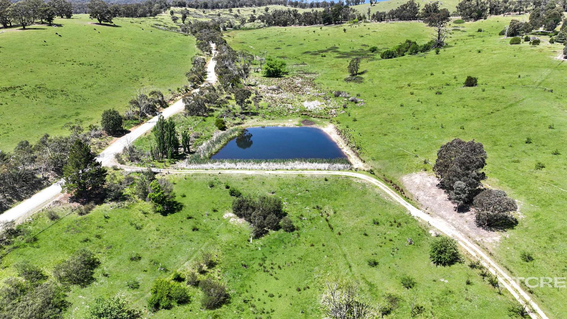 1259 McKillops Road, Bonang Sold by Farmbuy.com - image 13