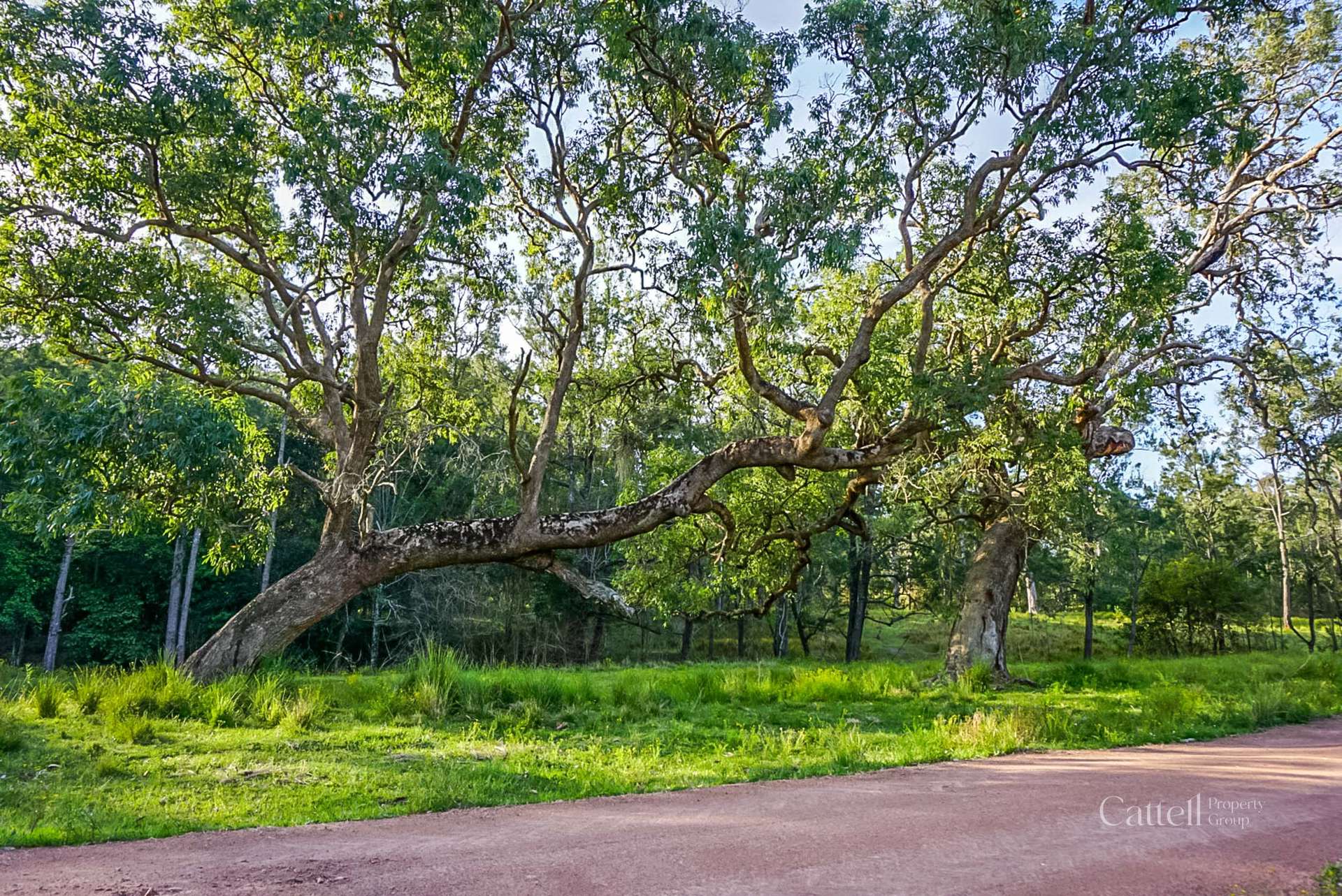 60 Blue Bonnett Road, Lambs Valley For Sale by Farmbuy.com - image 9
