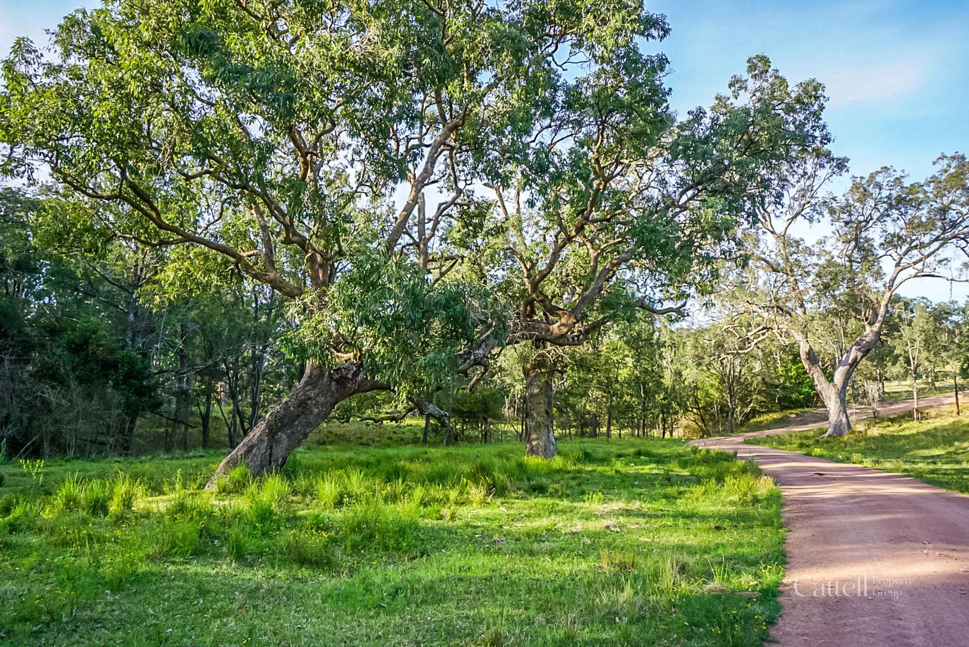 60 Blue Bonnett Road, Lambs Valley For Sale by Farmbuy.com - image 28