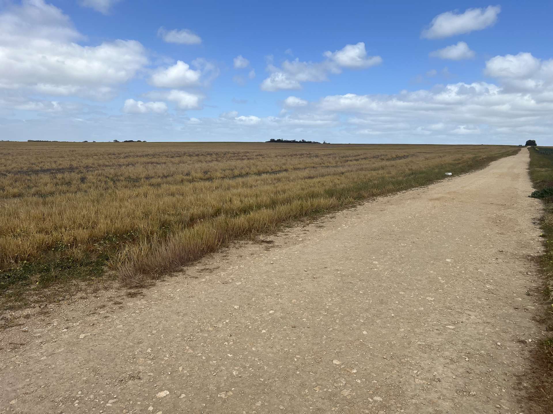 162 Pope Road, Karoonda For Sale by Farmbuy.com - image 4