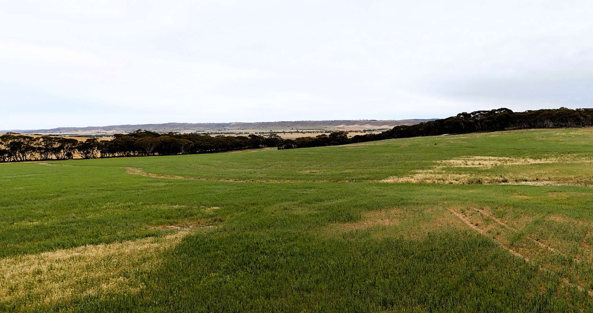 424 Quarry Road, Robertstown For Sale by Farmbuy.com - image 2