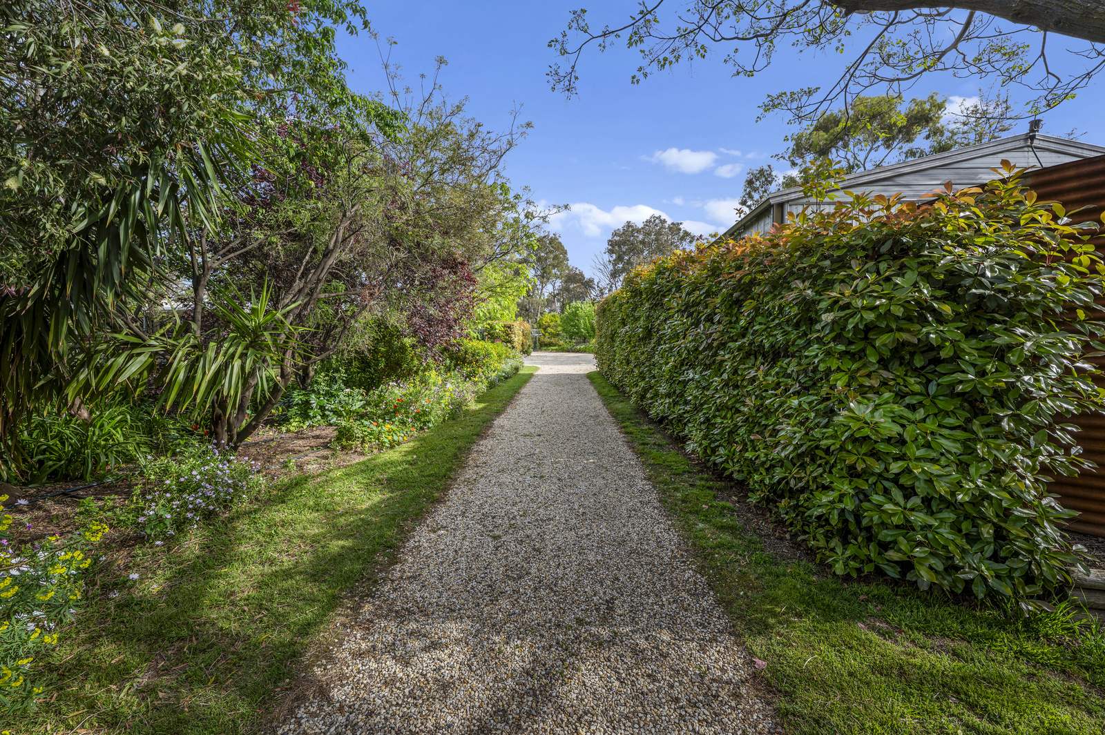 228 Gandini Lane, Lima East For Sale by Farmbuy.com - image 16