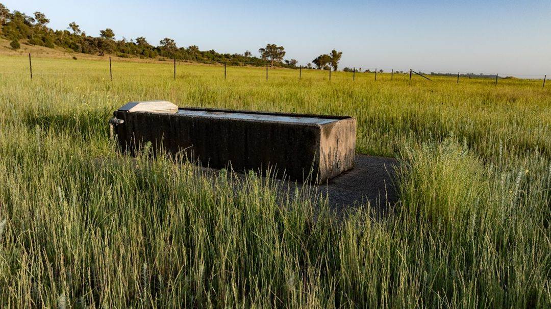 Garrambeel, Bingara For Sale by Farmbuy.com - image 16