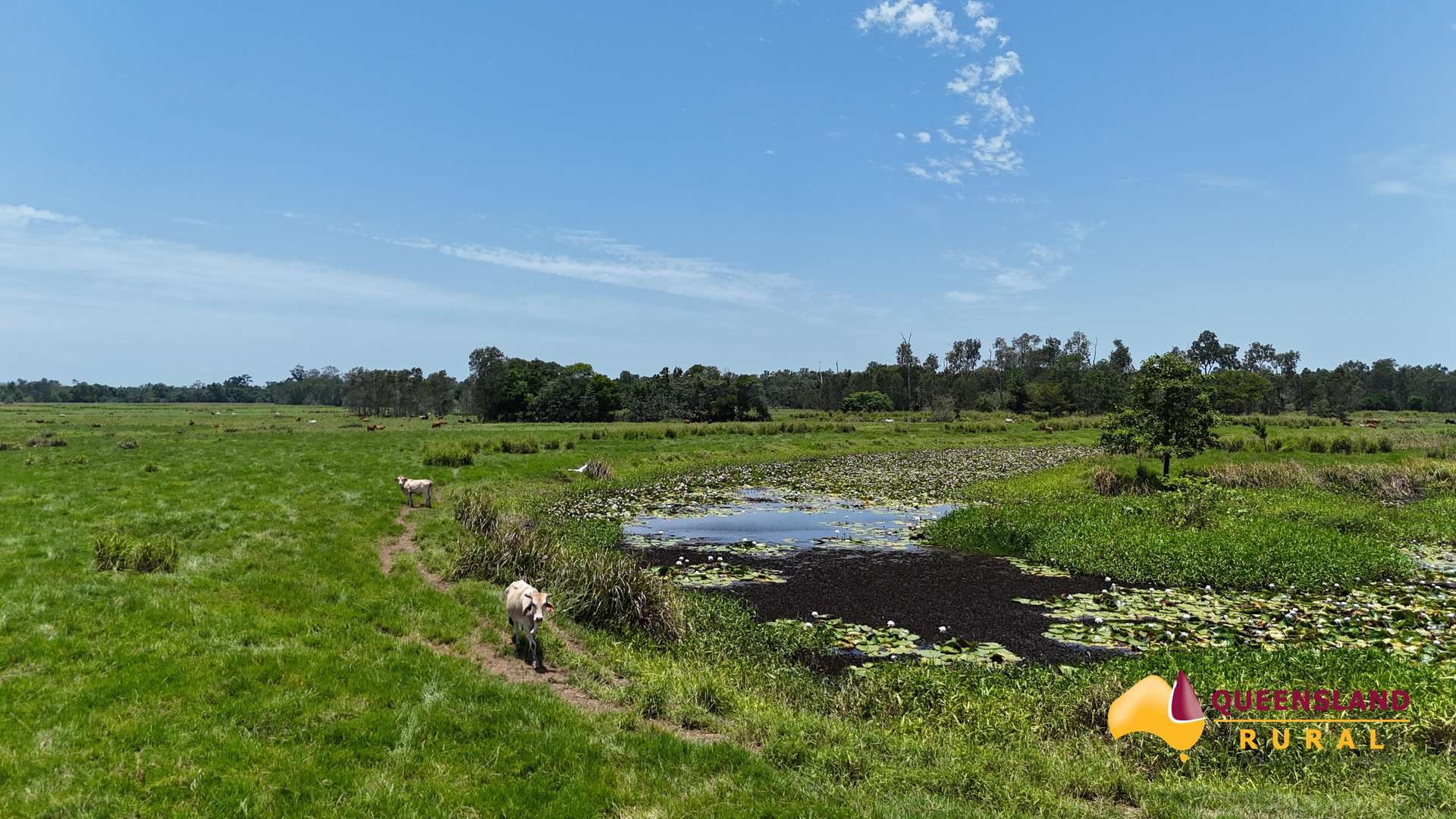 Euramo For Sale by Farmbuy.com - image 3