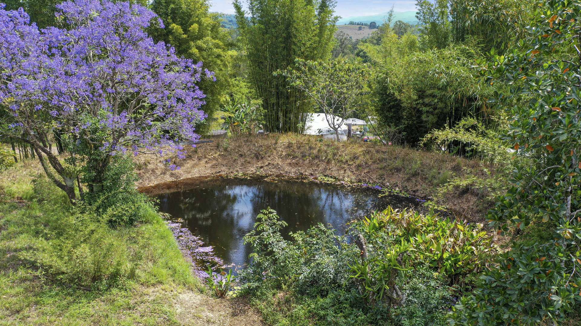Share D5/1158 Pinchin Road, The Channon For Sale by Farmbuy.com - image 28