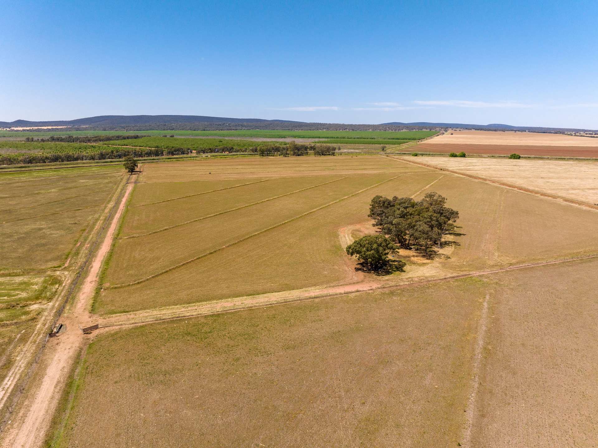 518 Fivebough Road, Leeton Sold by Farmbuy.com - image 32