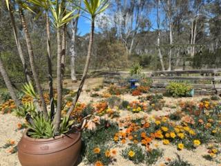 28 Macovoy Lane, Waanyarra For Sale by Farmbuy.com - image 16