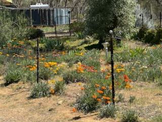 28 Macovoy Lane, Waanyarra For Sale by Farmbuy.com - image 19