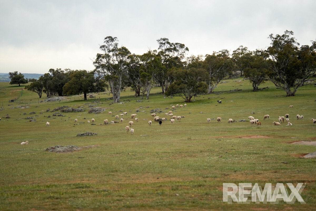 417 Twelve Mile Road, Yarragundry For Sale by Farmbuy.com - image 19