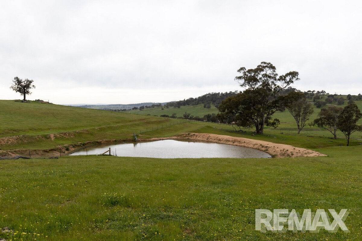 417 Twelve Mile Road, Yarragundry For Sale by Farmbuy.com - image 22