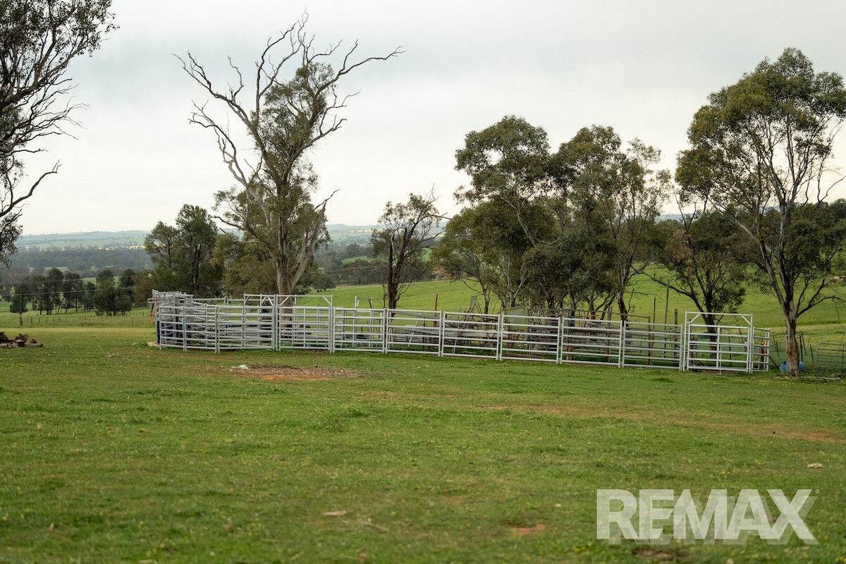 417 Twelve Mile Road, Yarragundry For Sale by Farmbuy.com - image 26