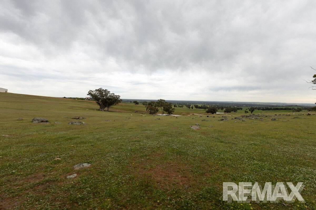 417 Twelve Mile Road, Yarragundry For Sale by Farmbuy.com - image 23