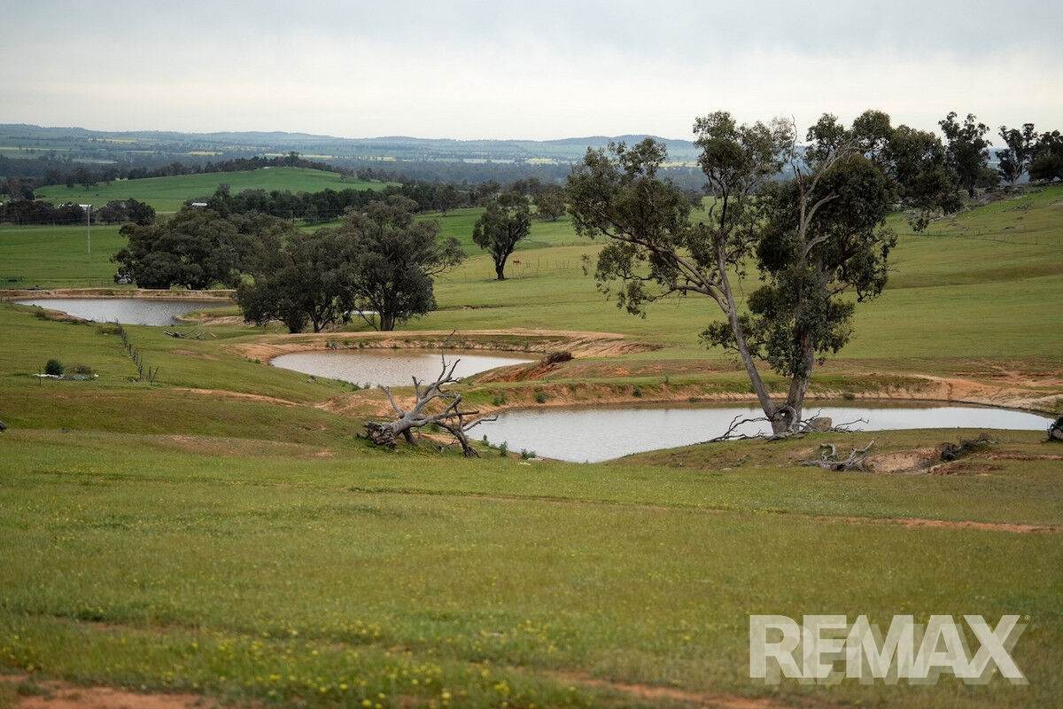 417 Twelve Mile Road, Yarragundry For Sale by Farmbuy.com - image 21