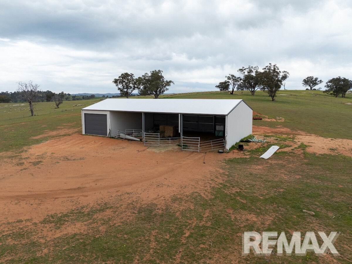 417 Twelve Mile Road, Yarragundry For Sale by Farmbuy.com - image 17