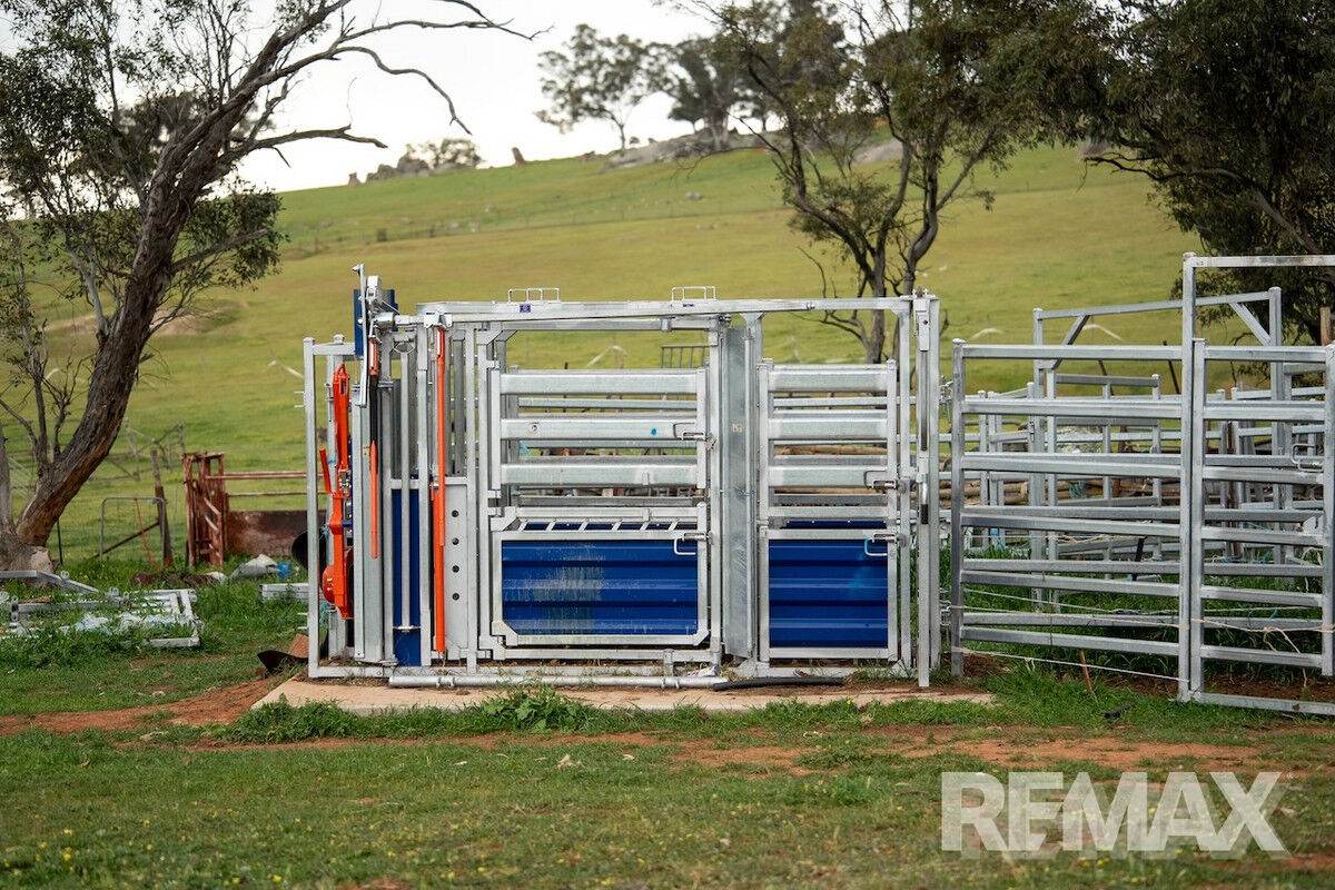 417 Twelve Mile Road, Yarragundry For Sale by Farmbuy.com - image 25