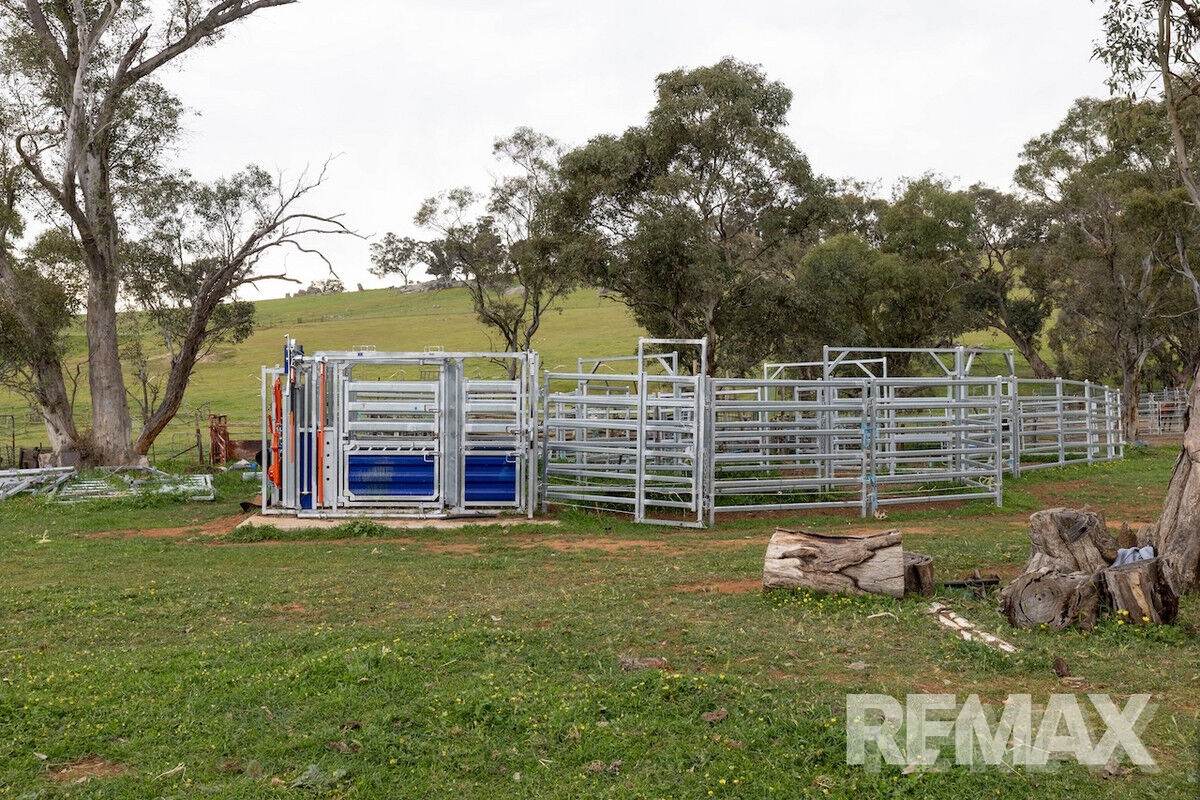 417 Twelve Mile Road, Yarragundry For Sale by Farmbuy.com - image 24
