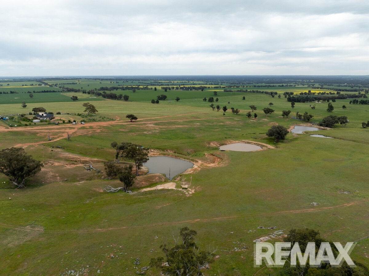 417 Twelve Mile Road, Yarragundry For Sale by Farmbuy.com - image 2