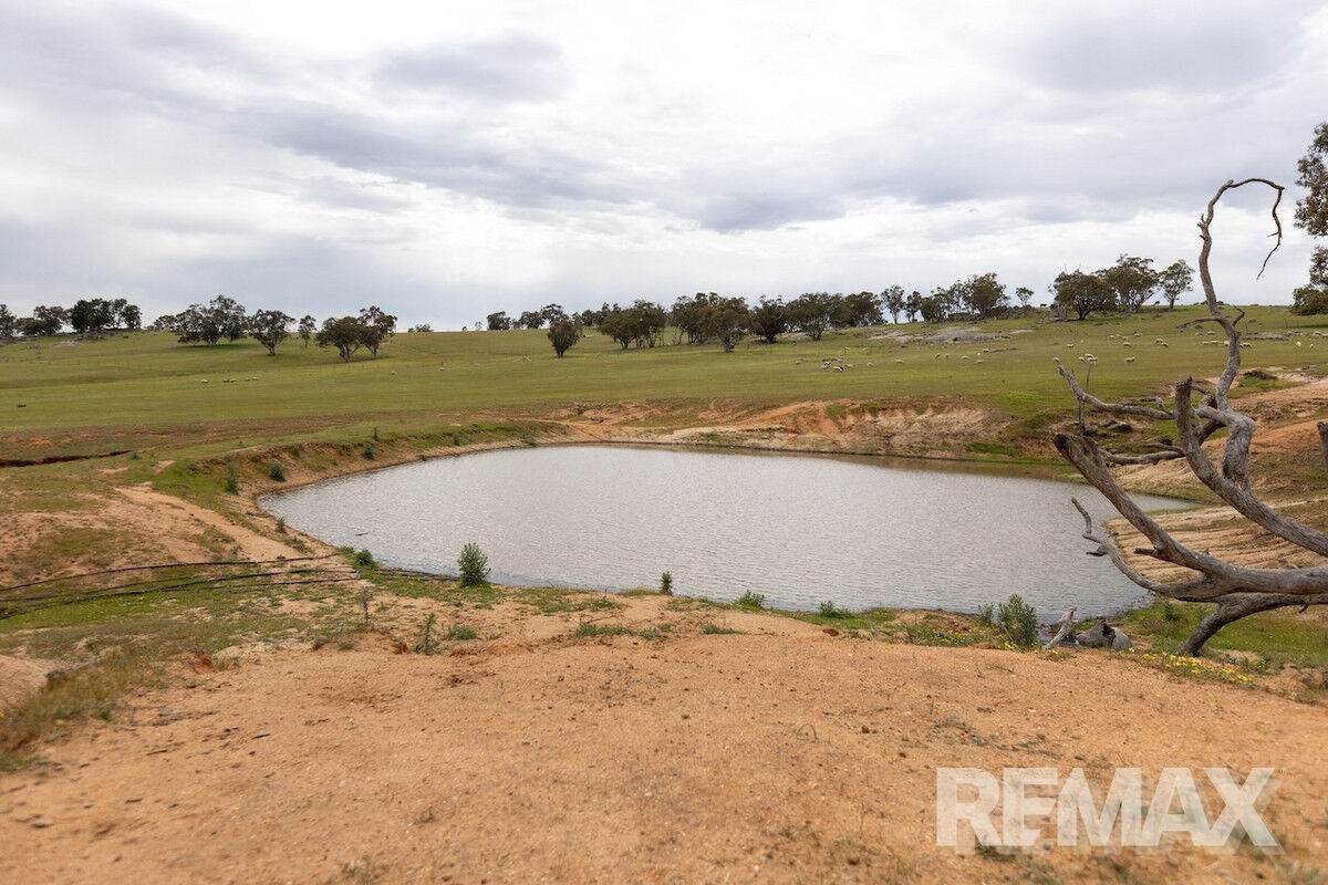 417 Twelve Mile Road, Yarragundry For Sale by Farmbuy.com - image 27