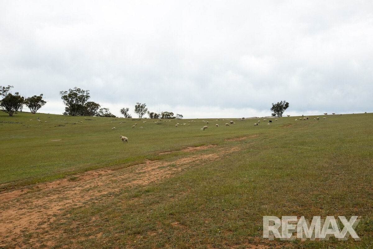 417 Twelve Mile Road, Yarragundry For Sale by Farmbuy.com - image 20