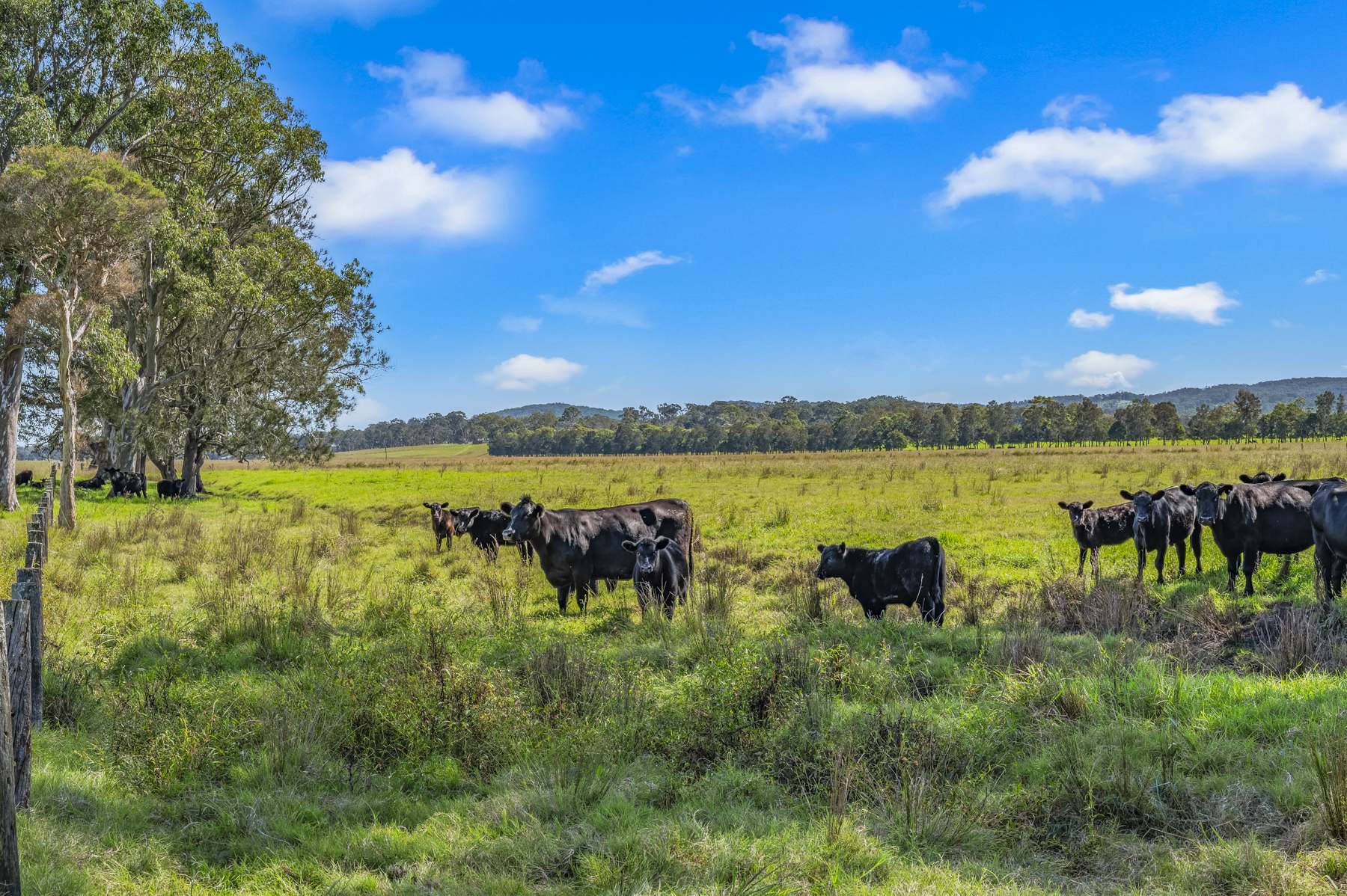 Brandon View |1102 Seaham Road, Seaham For Sale by Farmbuy.com - image 8