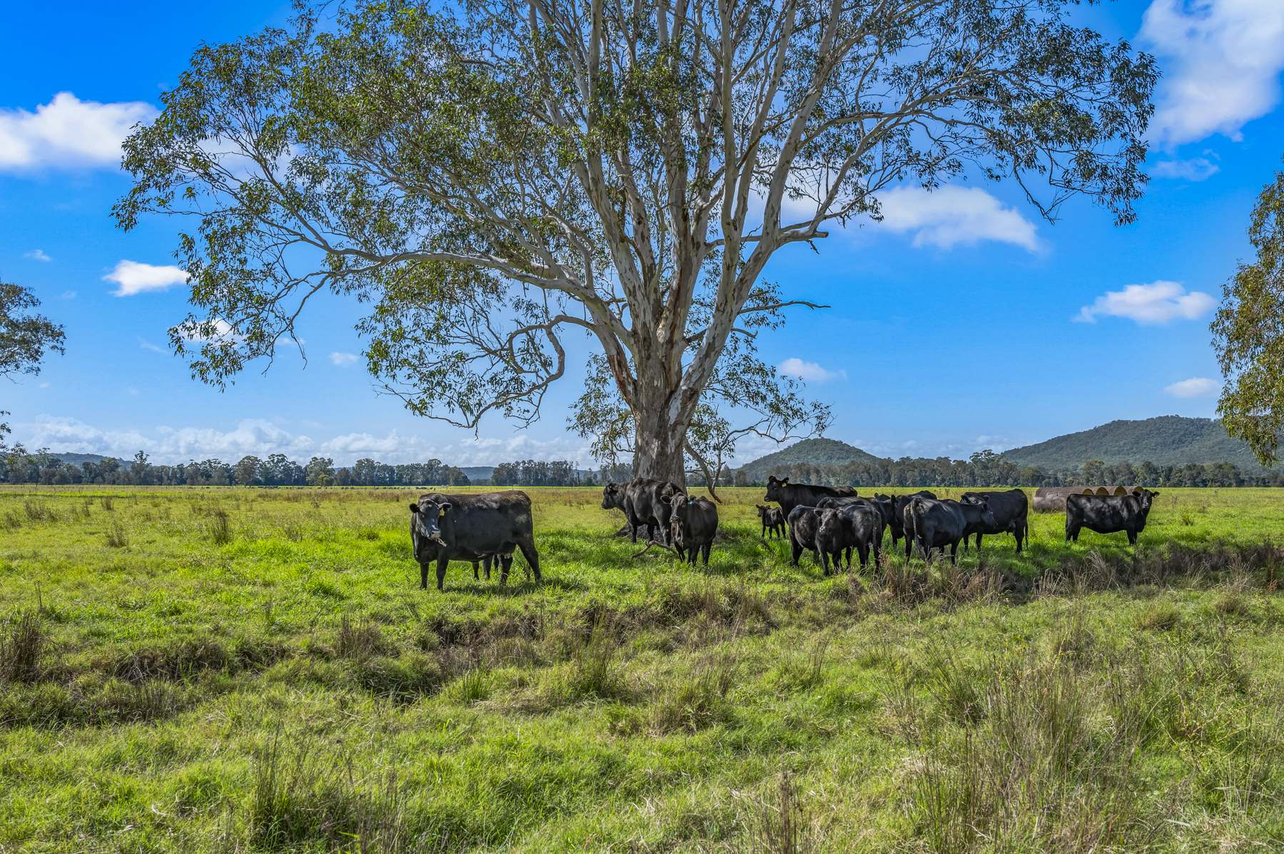 Brandon View |1102 Seaham Road, Seaham For Sale by Farmbuy.com - image 14