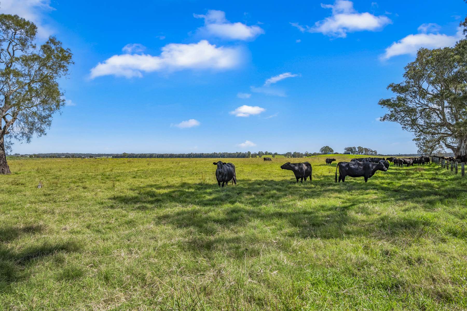 Brandon View |1102 Seaham Road, Seaham For Sale by Farmbuy.com - image 6