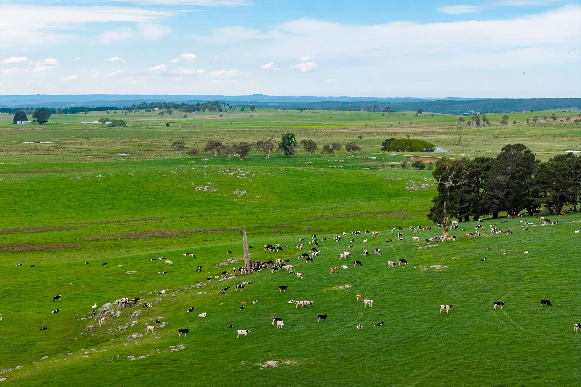 808 Carrabungla Road, Roslyn Via, Crookwell For Sale by Farmbuy.com - image 3