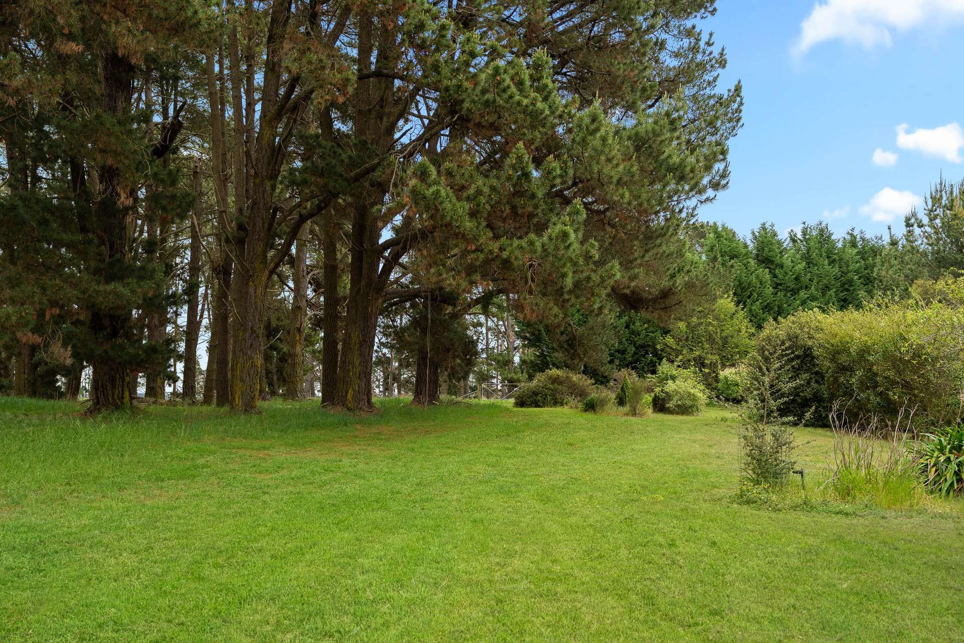 808 Carrabungla Road, Roslyn Via, Crookwell For Sale by Farmbuy.com - image 24