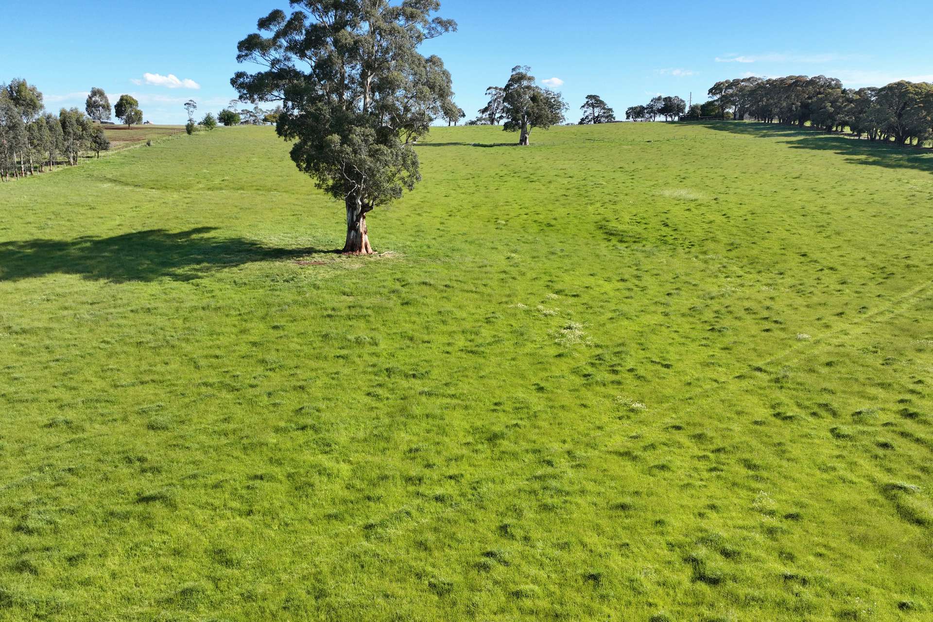 935 Lardners Track, Warragul For Sale by Farmbuy.com - image 29